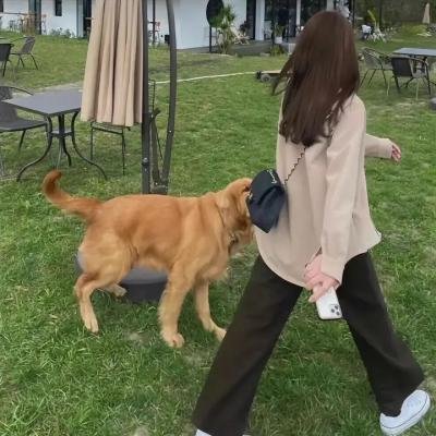 黑暗文艺复兴